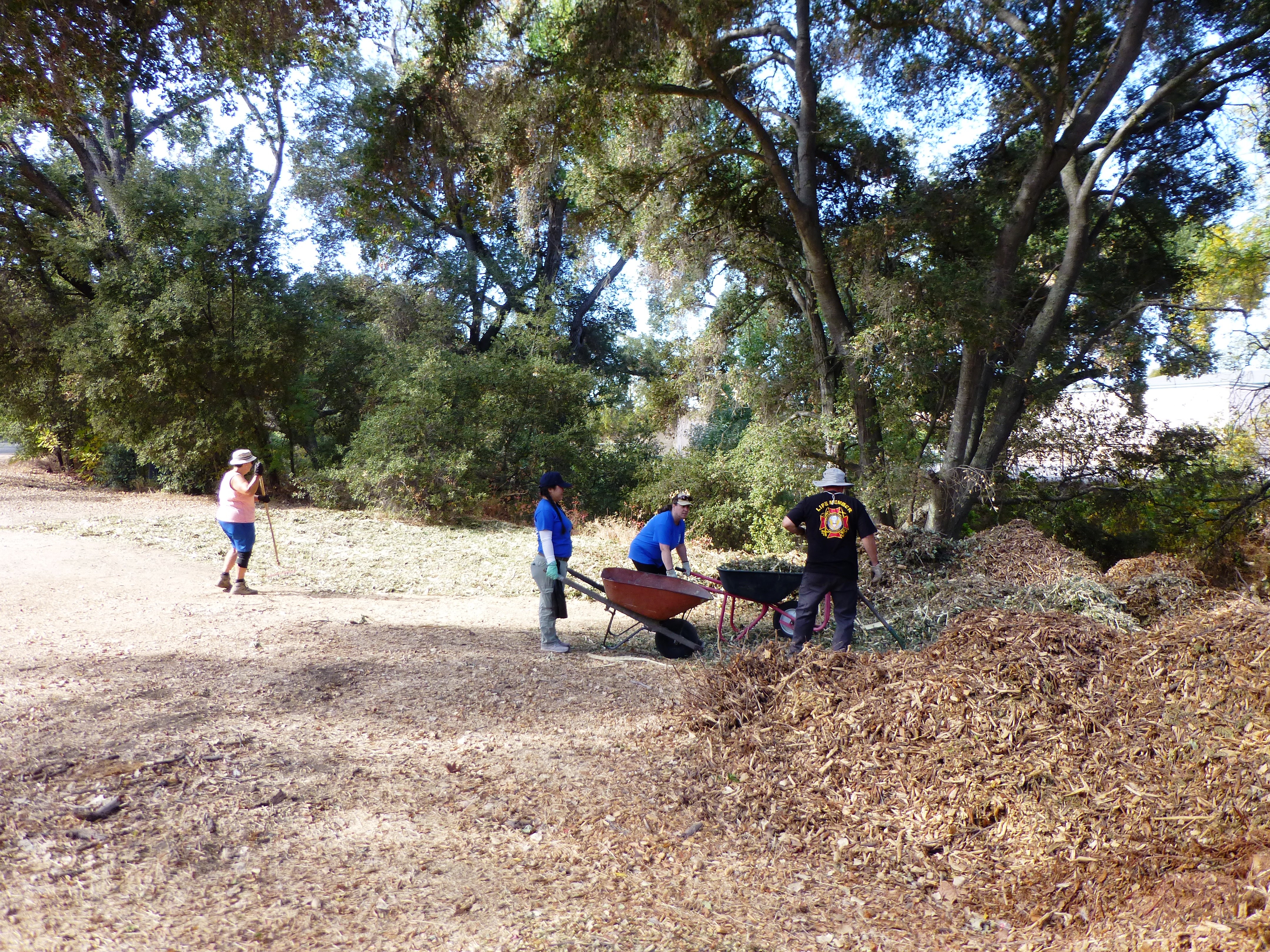 Mulching ALPS lot across from the entrance to Stadium Park